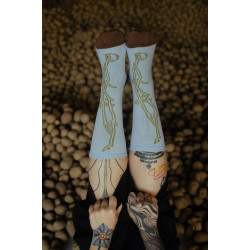 Modré Ponožky KORENE (2025, Svätopluk Mikyta)