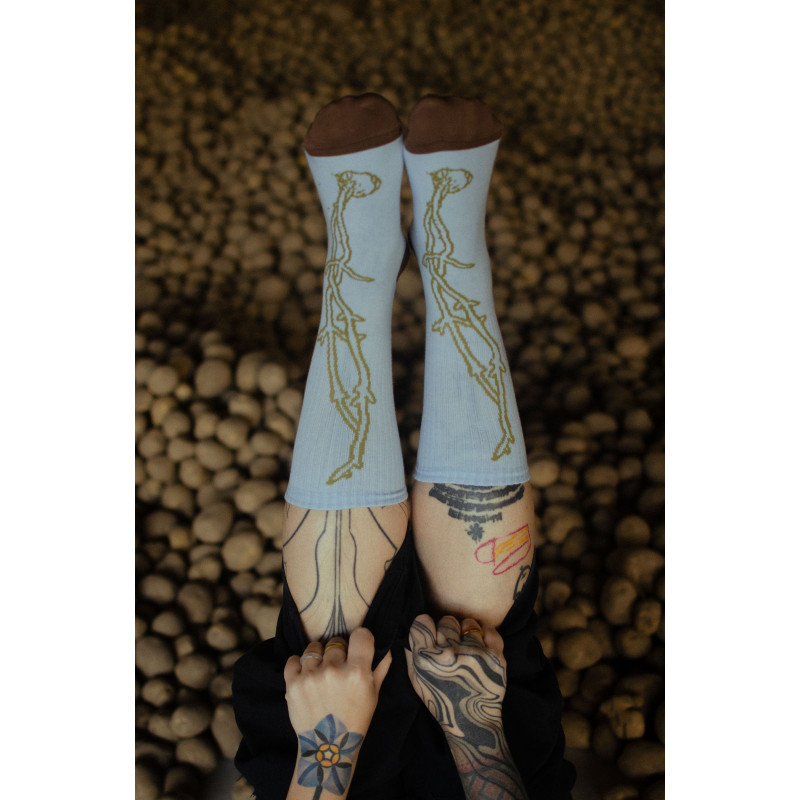 Modré Ponožky KORENE (2025, Svätopluk Mikyta)