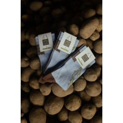 Modré Ponožky KORENE (2025, Svätopluk Mikyta)